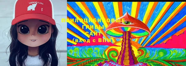 твердый Вязьма